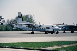 D-AELG
