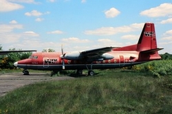D-AELI