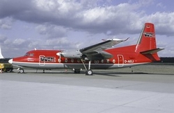 D-AELI
