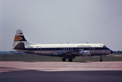 D-ANIP
