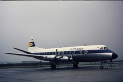 D-ANIP