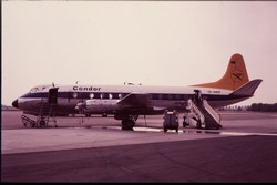 D-ANIP