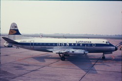 D-ANIZ