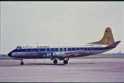 D-ANUN