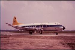 D-ANIP