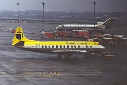 G-AOYO