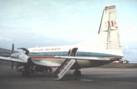 g_aray.jpg (88442 Byte)