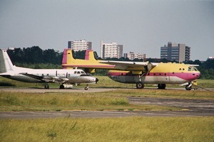 D-ANAS
