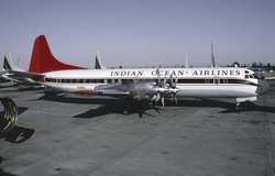 N351Q